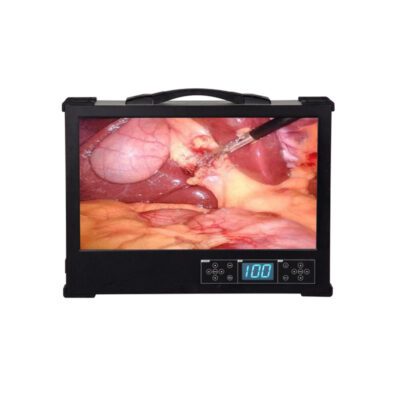 HD390 4K Portable Endoscope Camera System